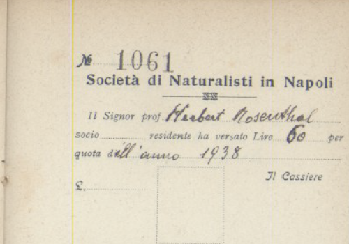 La Società dei Naturalisti in Napoli e le leggi razziali